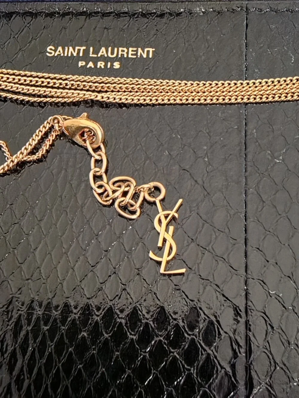 Saint Laurent Black Snake-Embossed Leather Chain Pouch with Gold Hardware
